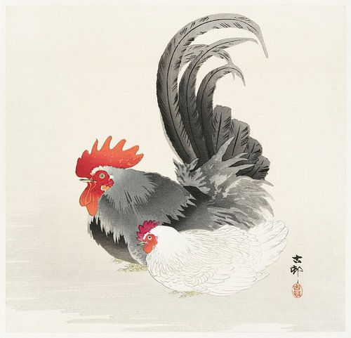 Chicken and cock (1900 - 1936) by Ohara Koson