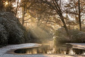Sprookjesachtige winterprik in Domein d'Aertrycke, Torhout