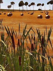 View To the Trees over Bulrushes and Straw Bales by Dorothy Berry-Lound
