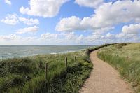 Pad naar het strand