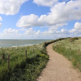 Weg zum Strand von Patrick Riemens