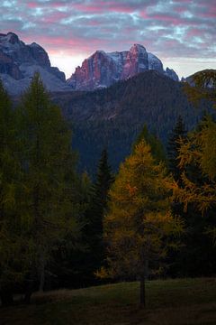 Magnifique lever de soleil coloré dans les Dolomites avec les mélèzes aux couleurs de l'automne. sur Jos Pannekoek