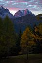 Beautiful colorful sunrise in the Dolomites with the Larch trees in full autumn colors. by Jos Pannekoek thumbnail