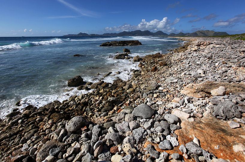 TINTAMARRE  by Sybrand Treffers