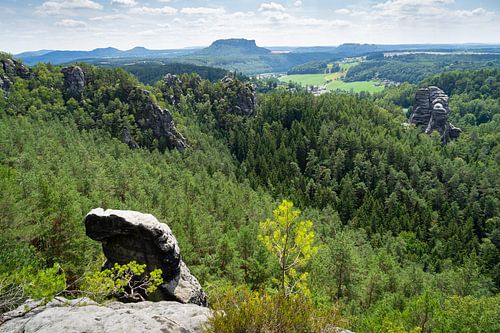 View towards Lilienstein mountain, Saxon Switzerland
