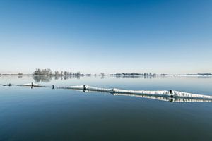 Eis auf Zäunen auf der IJssel an einem kalten Wintermorgen