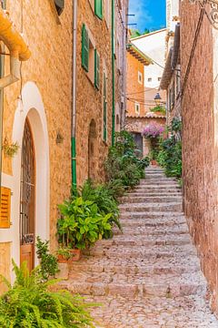 Old village of Fornalutx on Majorca, Spain Balearic Islands by Alex Winter