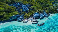nature des seychelles