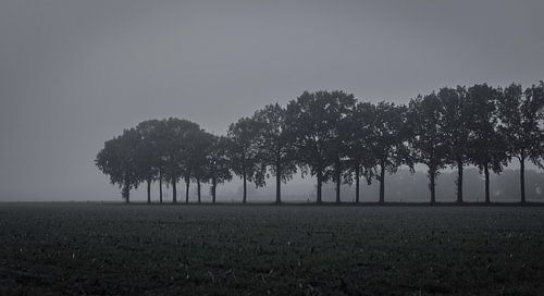 Autour de Teteringen
