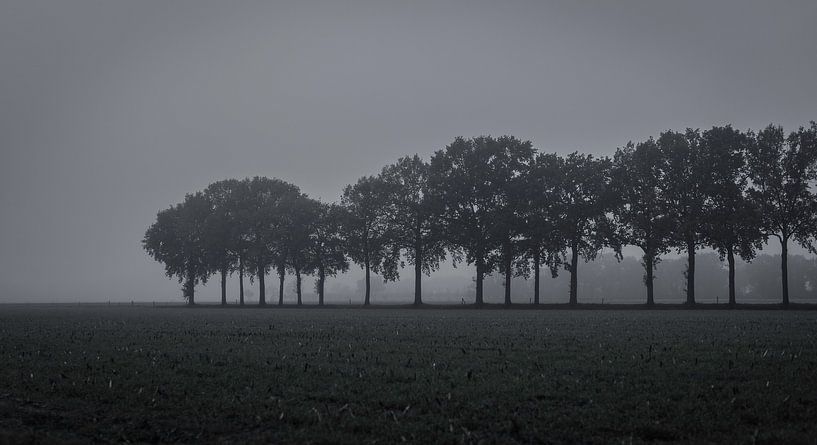 Around Teteringen by Patrick Rosenthal