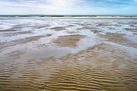Eb op het strand van Ameland van Rob IJsselstein thumbnail