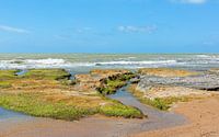 Tag am Meer von Gisela Scheffbuch Miniaturansicht