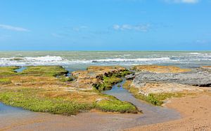 Tag am Meer