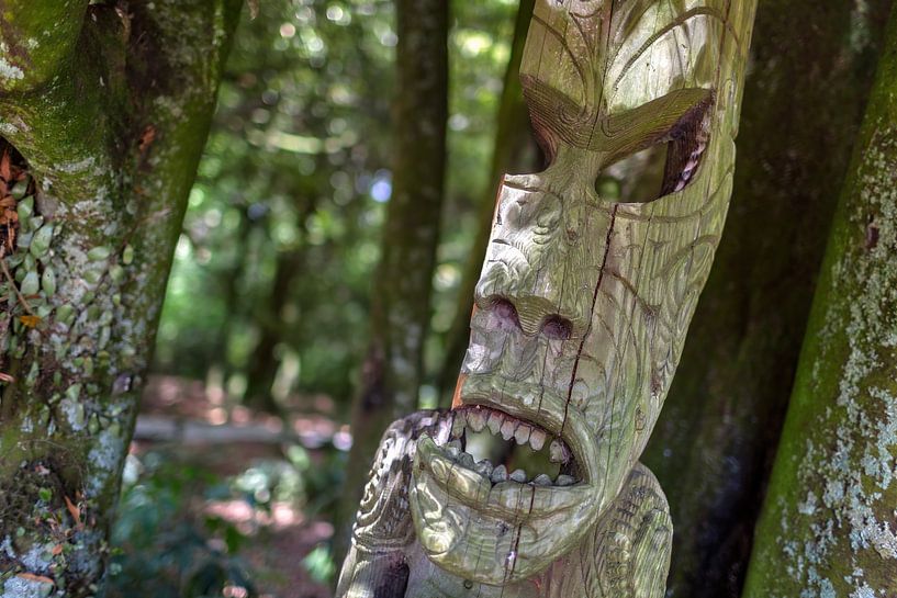 Altes traditionelles Dorf der Maori-Stämme von Yevgen Belich