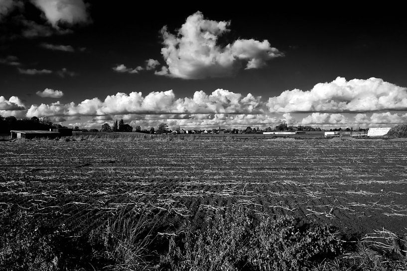 wide fields van Ann Beckers