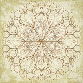 Mandala, drawn by Rietje Bulthuis