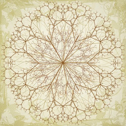 Mandala, drawn
