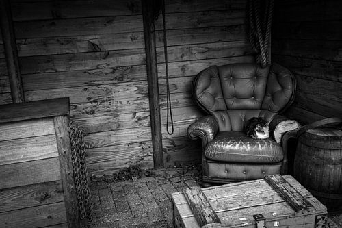 Die schlafende Katze