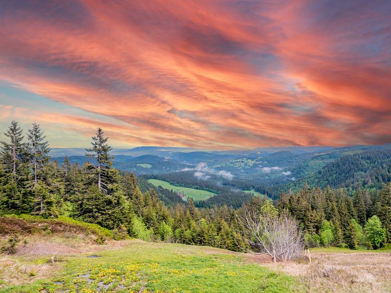 Vue sur la Forêt-Noire en Allemagne par Animaflora PicsStock