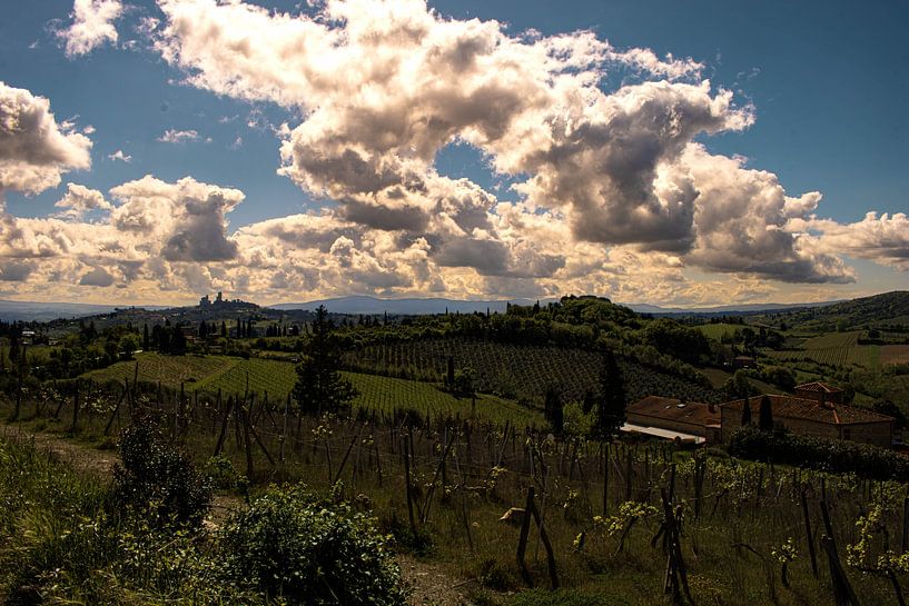 View of San Gimignano by Lens_en_Dier/Vizier Fotografie