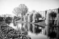 Canal Voedingskanaal in Boschpoort, Maastricht by Streets of Maastricht thumbnail