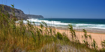 Wind and waves