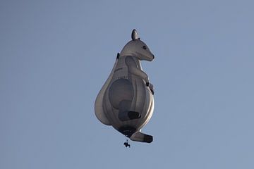 Hete Luchtballon festival van Cornelius Fontaine