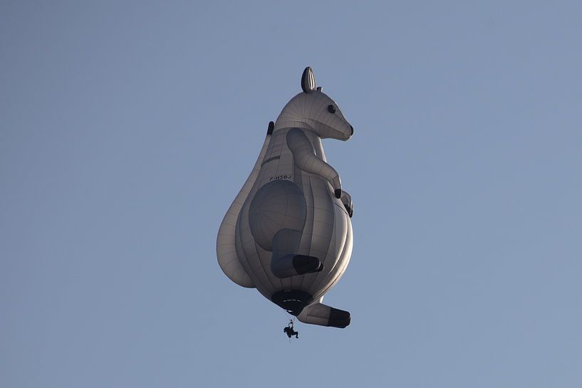 Hot Air Balloon Festival by Cornelius Fontaine