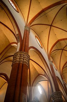 Gewelven van de Sint-Petroniusbasiliek