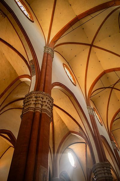 Les vestiges de la basilique Saint-Pétrone par Tjana Photography