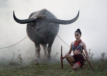 Jonge Thaise vrouw met waterbuffel in Surin
