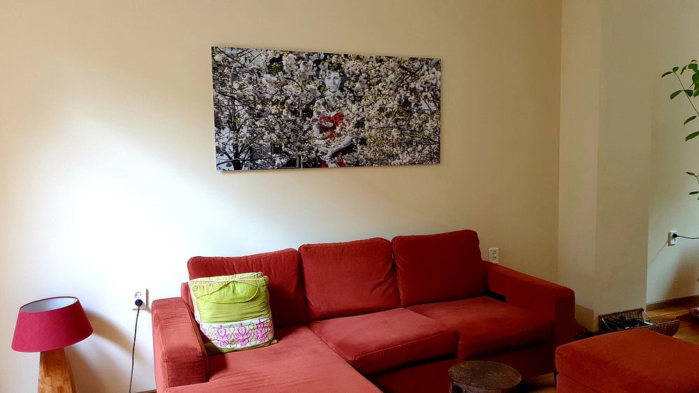 Looking through the blossom in Utrecht by De Utrechtse Internet Courant (DUIC)