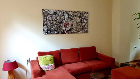 Looking through the blossom in Utrecht