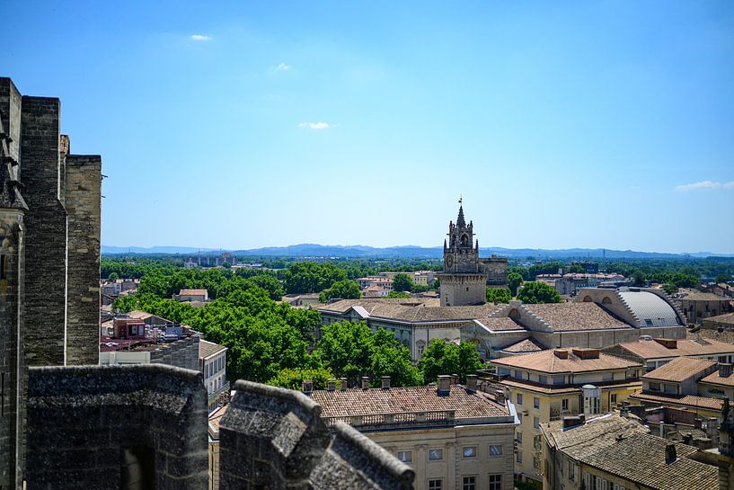 Blick auf Avignon in der Provence im Sommer von Sjoerd van der Wal Fotografie