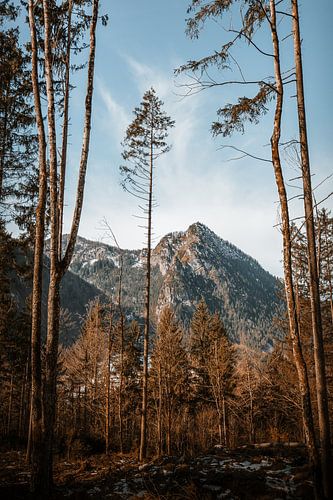 Berchtesgaden | Winter in de Alpen