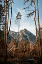 Berchtesgaden | Winter in de Alpen van Nanda van der Eijk thumbnail