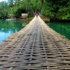 Bamboe brug van Irene Colen