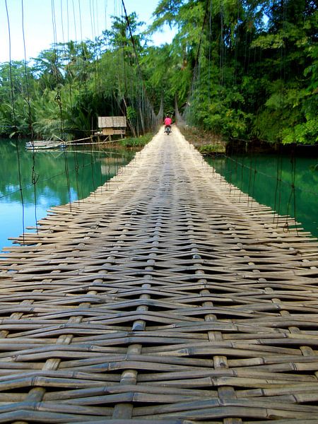 Bamboe brug par Irene Colen