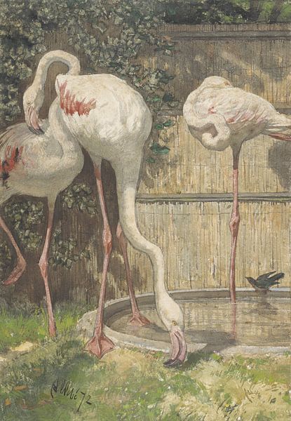Drie flamingo's bij een bassin, August Allebé van Meesterlijcke Meesters