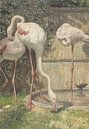 Drei Flamingos an einem Becken, August Allebé von Meisterhafte Meister Miniaturansicht