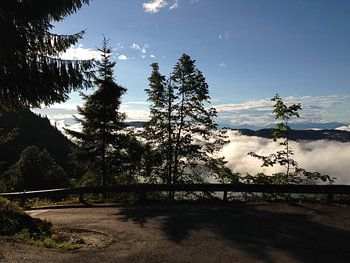 Hairpin bend above the clouds