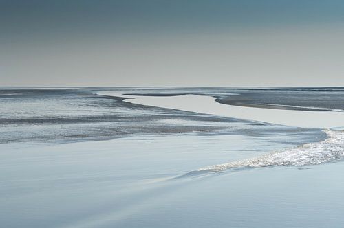 het wad in beweging  nr.2