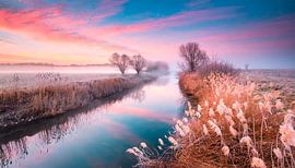 Winterlandschap met rivier