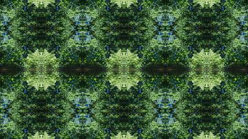 Gespiegelde varenbladeren, water en symmetrie 2 van Heidemuellerin