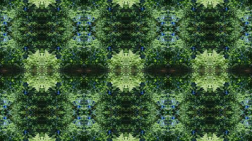 Gespiegelde varenbladeren, water en symmetrie 2
