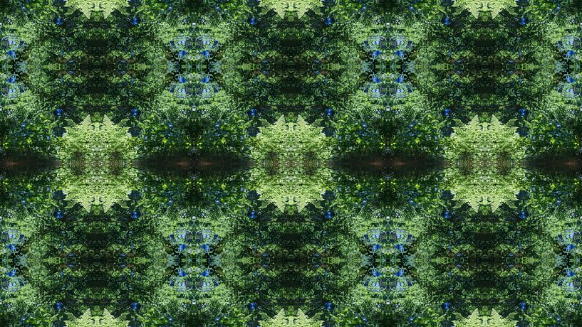 Mirrored fern leaves, water and symmetry 2 by Heidemuellerin