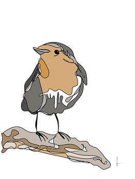 Rotkehlchen