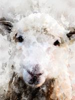sheep