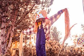 vogel verschrikker van Kaylee Verschure