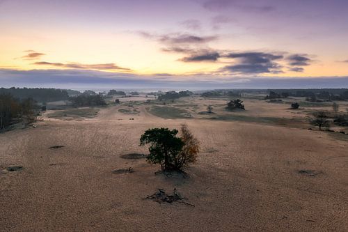 Uitzicht op Kootwijkerzand tijdens de zonsopkomst